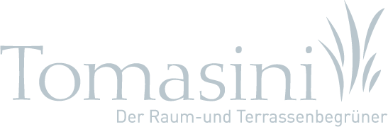 ns_tomasini logo